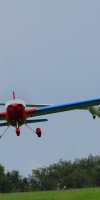 2012 Sommerfest